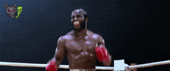Nft Boxing GIF by LosVagosNFT