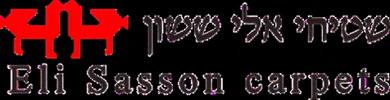 elisassooncarpets GIF