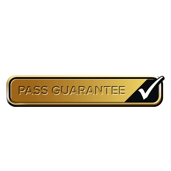 Driving Test Success Sticker