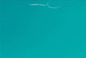 GIF by Gatlin