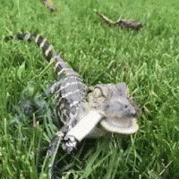 Cigarette Smoking GIF