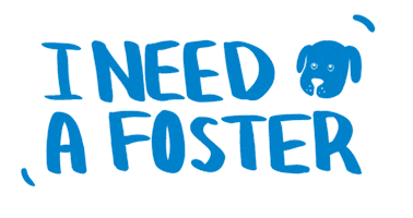 Dogs Adopt Sticker by Ears Texas