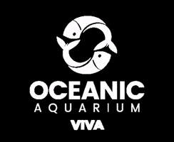 oceanicaquarium GIF