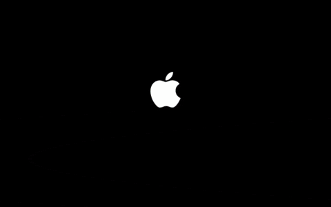 Music Video Apple GIF by Zedd - Find & Share on GIPHY
