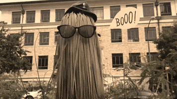 Halloween Boo GIF by College of Natural Sciences, UT Austin
