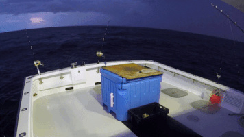 wicked tuna storm GIF by National Geographic Channel
