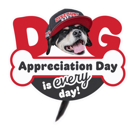 Dog Pup Sticker by Discount Tire