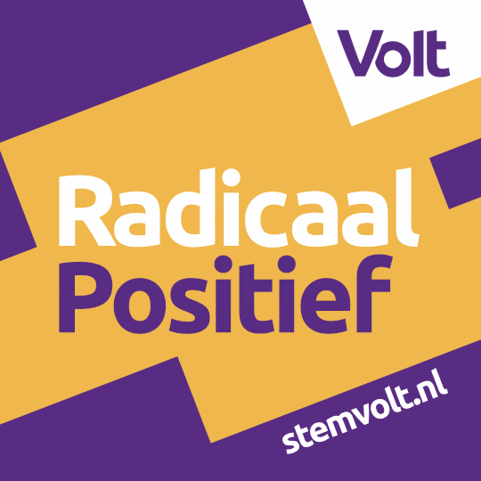 Stemvolt Volt Nederland GIF by VoltNL