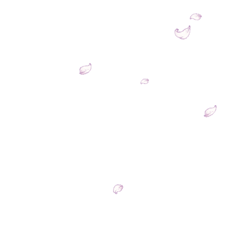 Cat Sticker