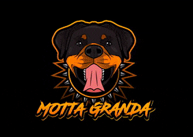 Rottweiler Motta Granda GIF