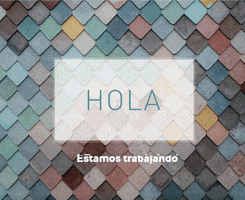 IMPRESORAELCANO GIF
