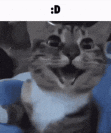 Happy Cat GIF