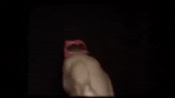 Ricardo Milos GIF