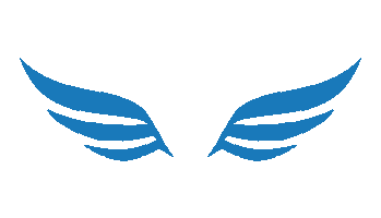 Skydive Portugal Sticker