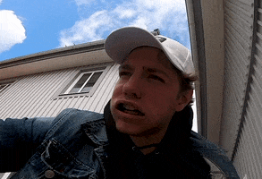 Skata Sweden GIF