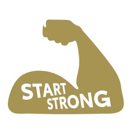 Toyota Singapore Sticker