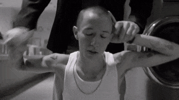 200.gif?cid=fc005b08a2d5e6dd67587dcae0dd9fc6112eca252557bb38&rid=200.gif&ct=g