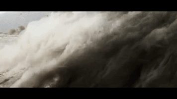 francescosarubbo  GIF