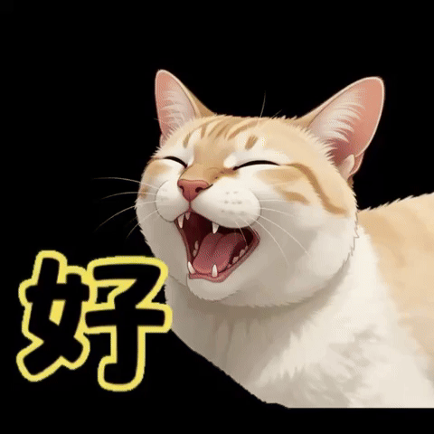 Cat GIF