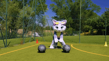 Sport Stretching GIF by 44 Cats