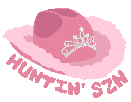 Country Music Pink Sticker by Mackenzie Carpenter