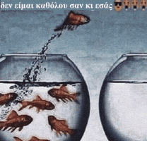 Metaxas GIF