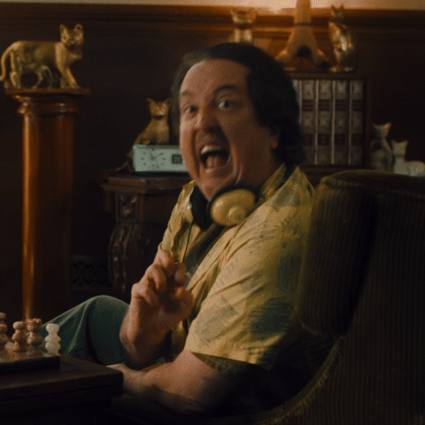 Don Gato Tequila GIF