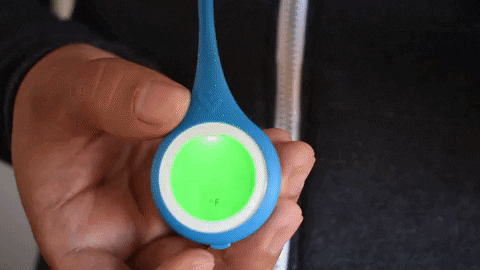 Animated GIF
