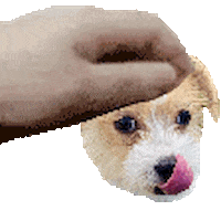 Dog Twitch Sticker