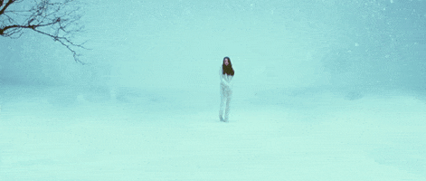 vidserv  GIF