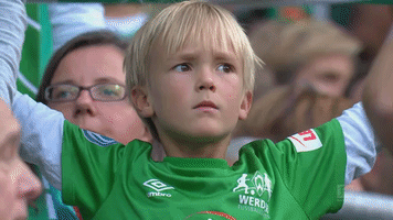 fan bundesliga GIF by SV Werder Bremen