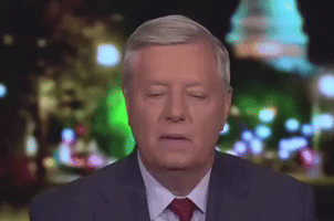 Lindsey Graham Lick GIF by GIPHY News