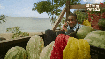 deathinparadiseofficial travel awkward delivery death in paradise GIF