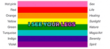 rainbow lgbt GIF by I SEE YOUR LEGS