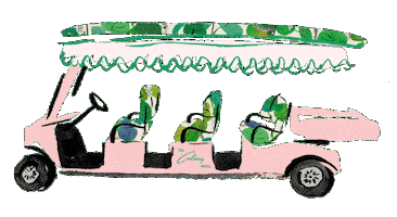 Palm Beach Thecolony Sticker by The Colony Palm Beach