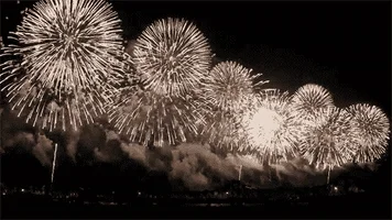  fireworks fourth of july GIF
