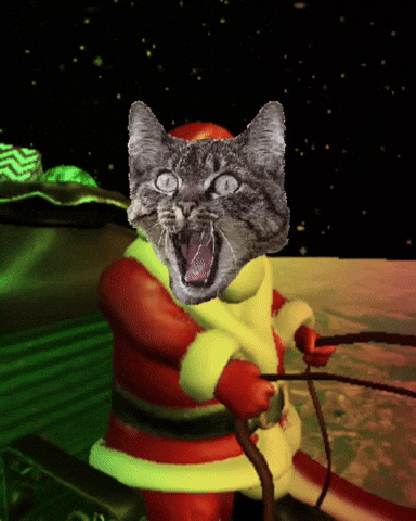 Cat GIF
