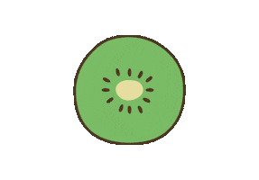 Fruit Kiwi Sticker