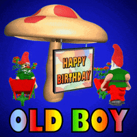 You Are Old Birthday Boy GIF