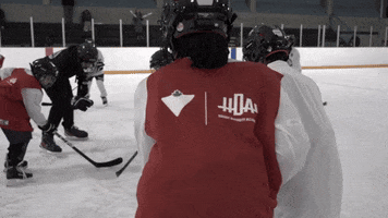 Ice Hockey GIF by HockeyDiversityAlliance