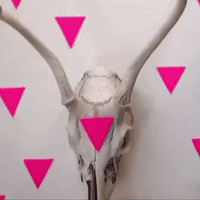 200.gif?cid=fc005b08895a0d71d65729f7f3fdd1986892c5ac60499441&rid=200.gif&ct=g