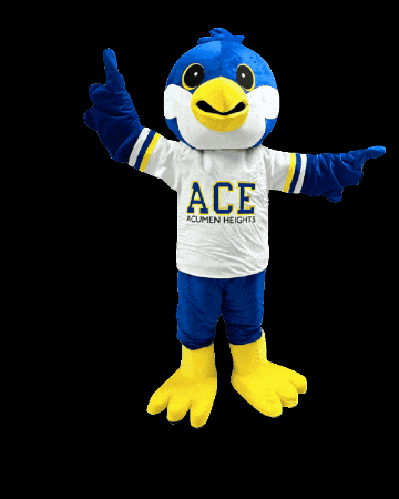 Ace Acumen Heights GIF