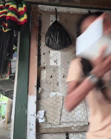 Fast Food Eating GIF