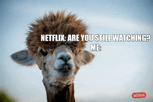 Are You There Netflix GIF by Altibox