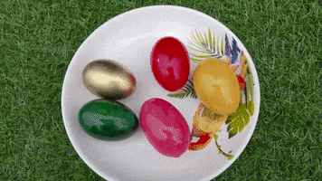 ExperimenMeatGrinder colorful egg meat experiment GIF