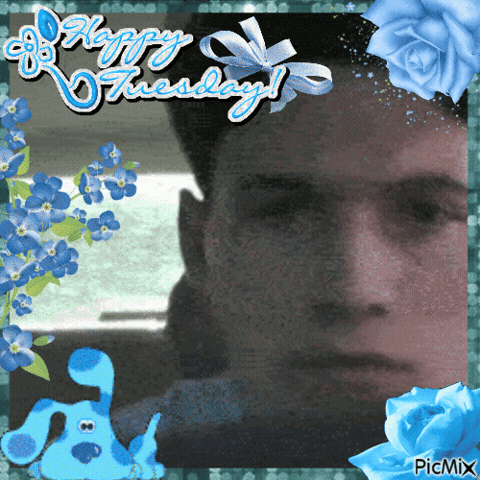 Happy Tuesday GIF