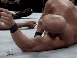 Steve Austin Sport GIF by WWE