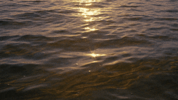 High Res GIFs - Find & Share on GIPHY