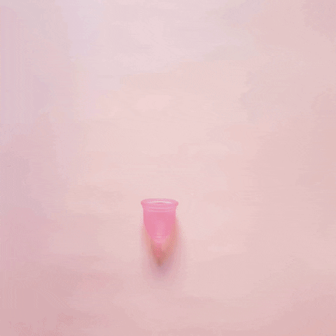Spring Inbloom GIF