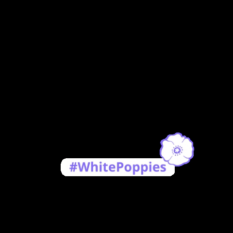 PeacePledgeUnion peace remembrance pacifism white poppy GIF
